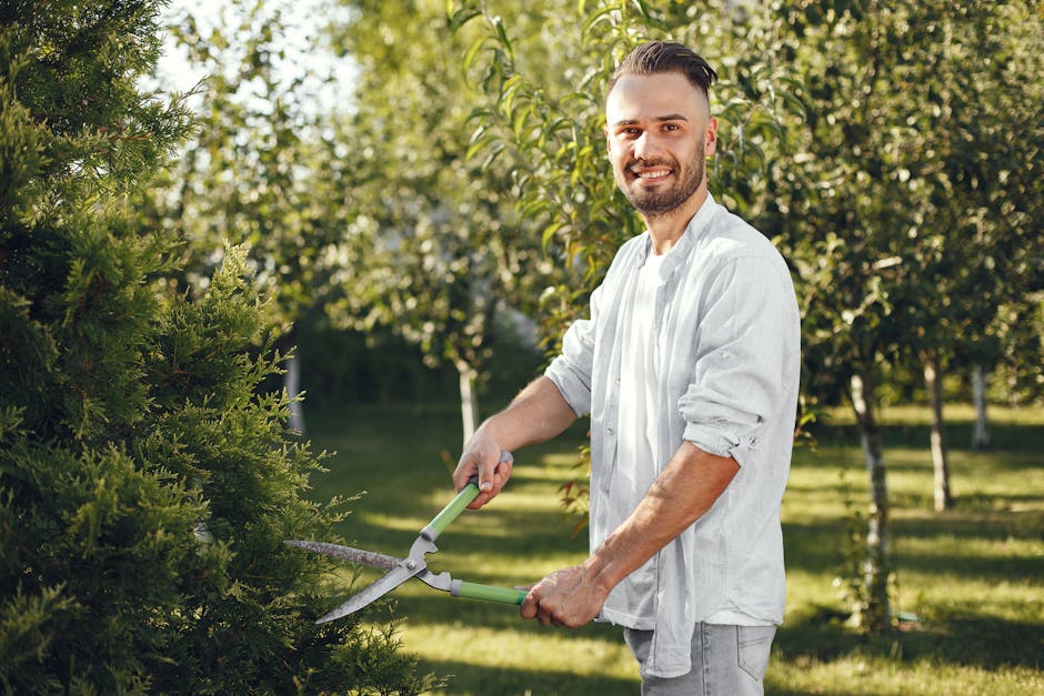 Smiling man using pruning shears in a sunny orchard garden, creating a natural and peaceful scene.